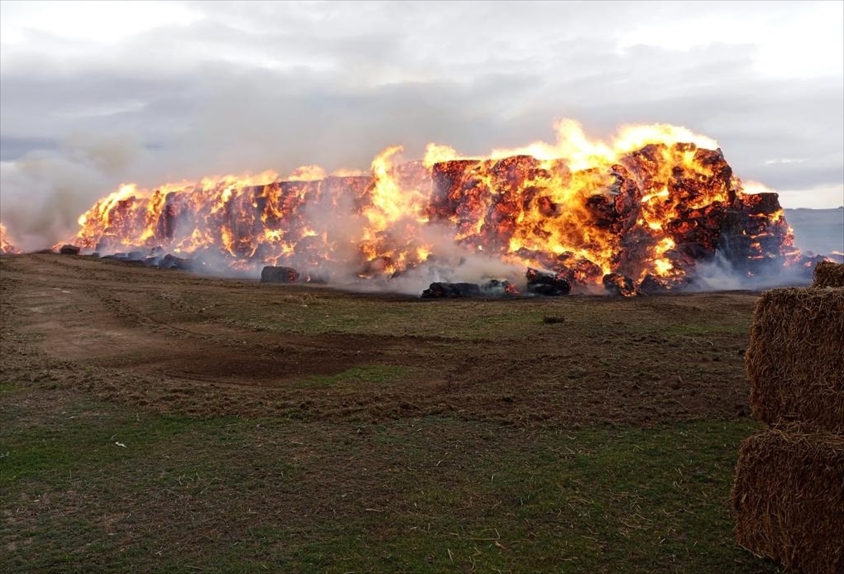 Konya'da bir tarım işletmesinde 2 bin 800 ton fiğ ve yonca balyası yandı