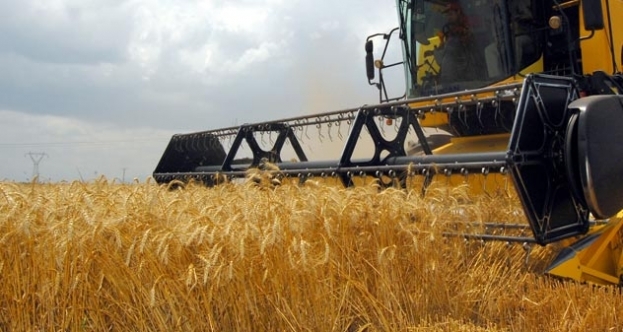 Konya'da  buğday Tarlasını hasat edip 8 Ton  buğday çaldılar.