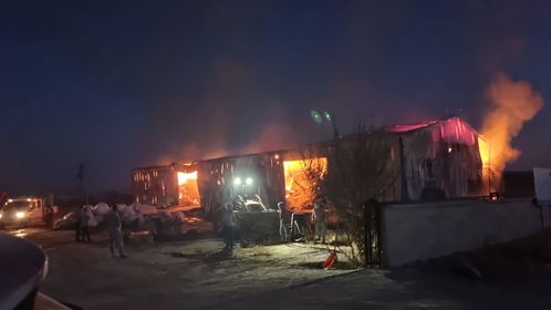 Konya'da büyükbaş hayvan çiftliğinde yangın!