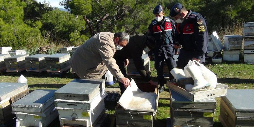 Konya’da çalınan arılarını Manavgat’ta buldu