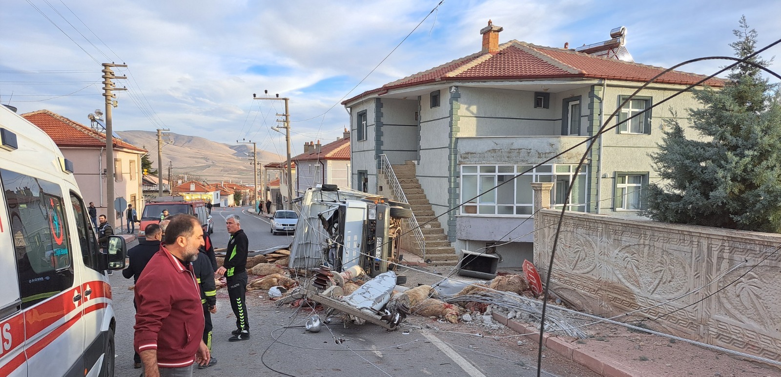 Konya'da hayvan yüklü kamyonet devrildi! 2 ölü var