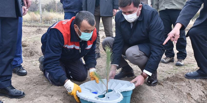 Konya'da ilk kez sulamasız fidan dikim çalışması yapıldı