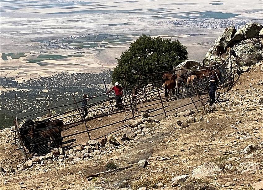 Konya'da izinsiz yılkı atı toplayan yabancı uyruklu 4 kişi yakalandı