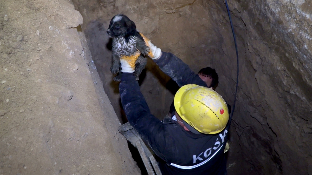 Konya'da kanalizasyona düşen köpek yavrusu 5 saatlik çalışmayla kurtarıldı