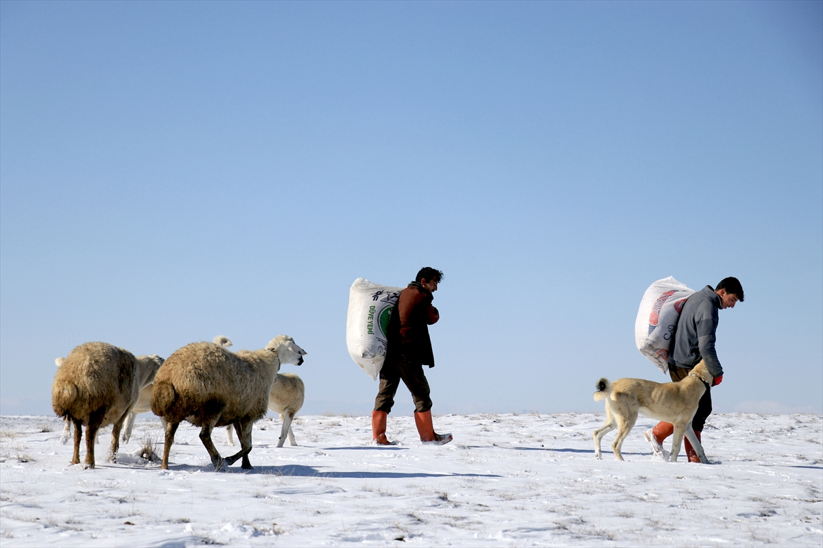 Konya'da Kar yağışı çiftçiler kadar besicileri de sevindirdi