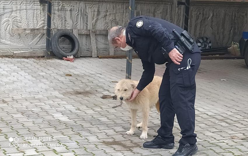 Konya'da köpeğe eziyet ettiği öne sürülen kişiye 947 lira ceza kesildi