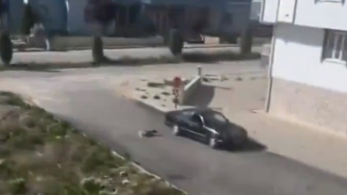 Konya'da köpeği arabaya bağlayarak sürükleyen kişi gözaltına alındı