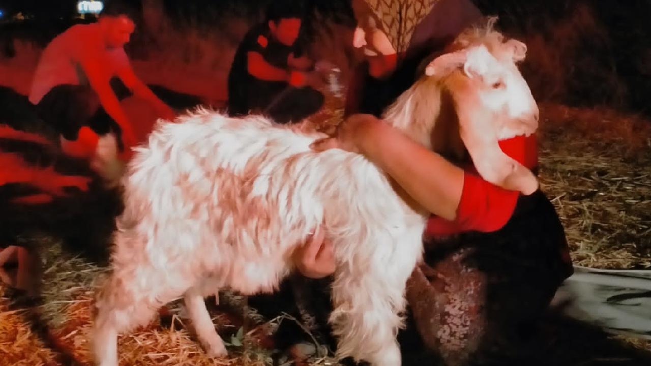 Konya'da kuyuya düşen keçiyi itfaiye ekipleri kurtardı