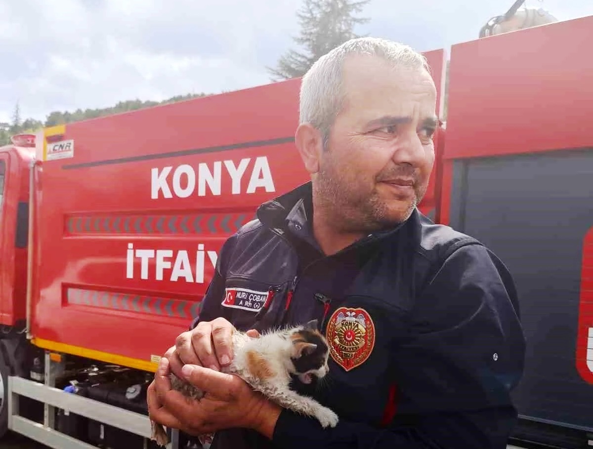 Konya'da Otomobilin Motorunda Sıkışan Yavru Kedi Kurtarıldı