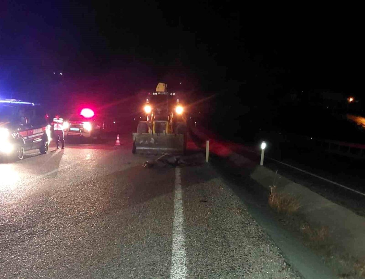 Konya'da sahipsiz eşek kazaya neden oldu