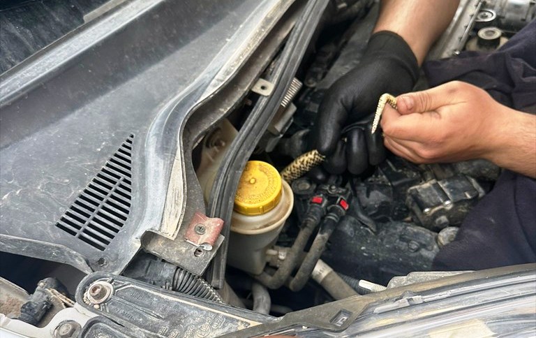 Konya'da tamir için bırakılan araçtan yılan çıktı