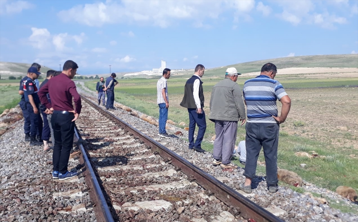Konya'da trenin çarptığı 140 küçükbaş hayvan telef oldu