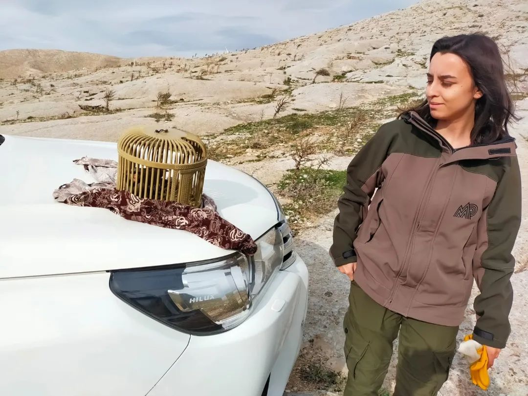 Konya'da Tuzakla  kaçak keklik avı yapan şahıslar yakalandı.