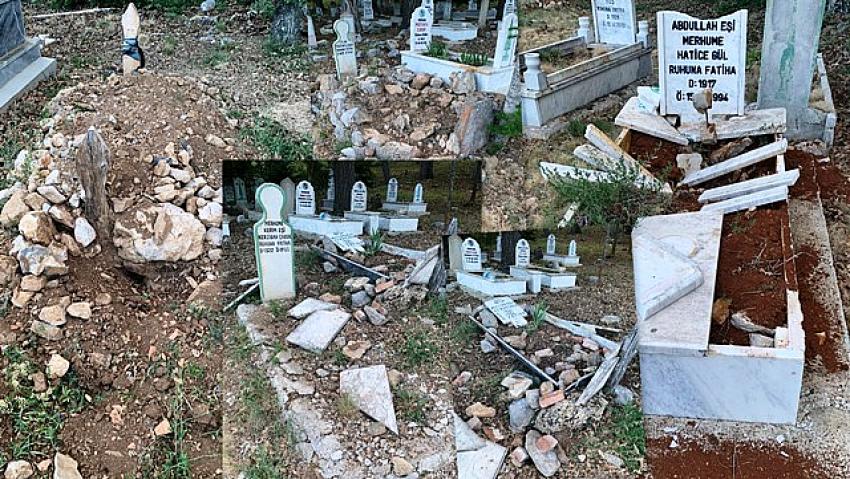 Konya'da yabani   hayvanlar  mezarları tahrip etti