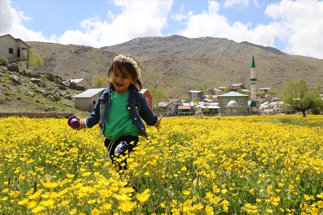 Konya'da yaylalar baharın tüm güzelliklerini sunuyor
