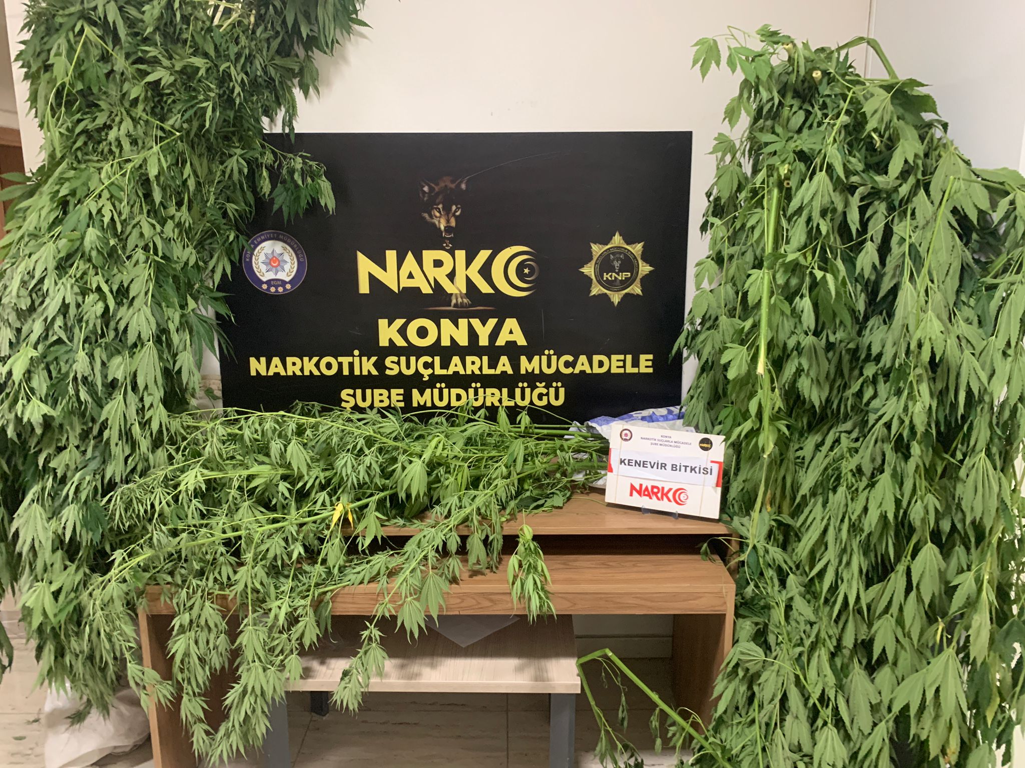 KONYA’DA ZEHİR TACİRLERİNE BÜYÜK DARBE!