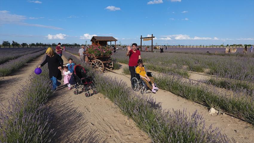 Konya'daki lavanta bahçeleri fotoğraf tutkunları için doğal stüdyo oldu