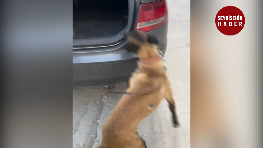 KONYA EMNİYETİNDEN ZEHİR TACİRLERİNE BÜYÜK DARBE