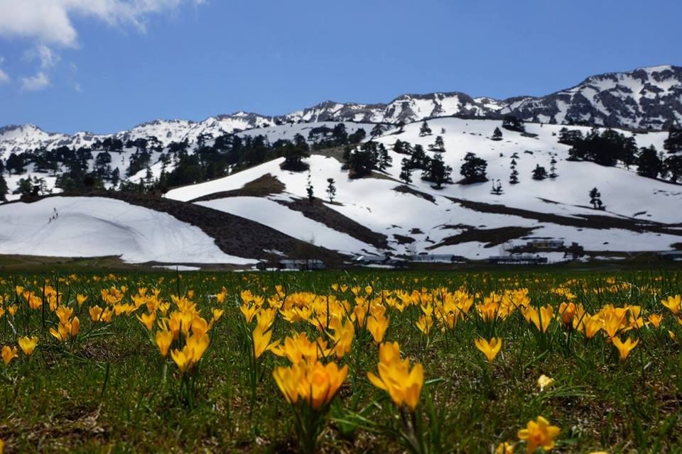 Konya İçin Tahminler güncellendi Pazartesi 23 Derece