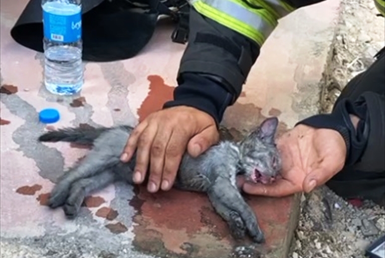 KONYA - İtfaiye ekipleri yangından kurtardığı yavru kediyi suni teneffüsle hayata döndürdü