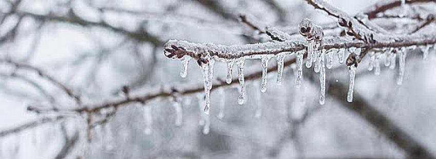  Konya, Karaman, Aksaray ve Niğde için buzlanma ve don uyarısı