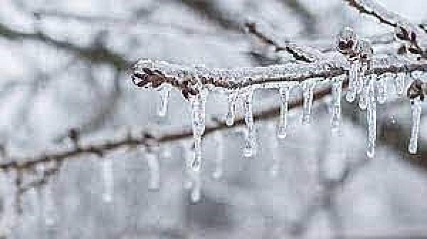 Konya, Karaman, Niğde ve Aksaray için zirai don uyarısı