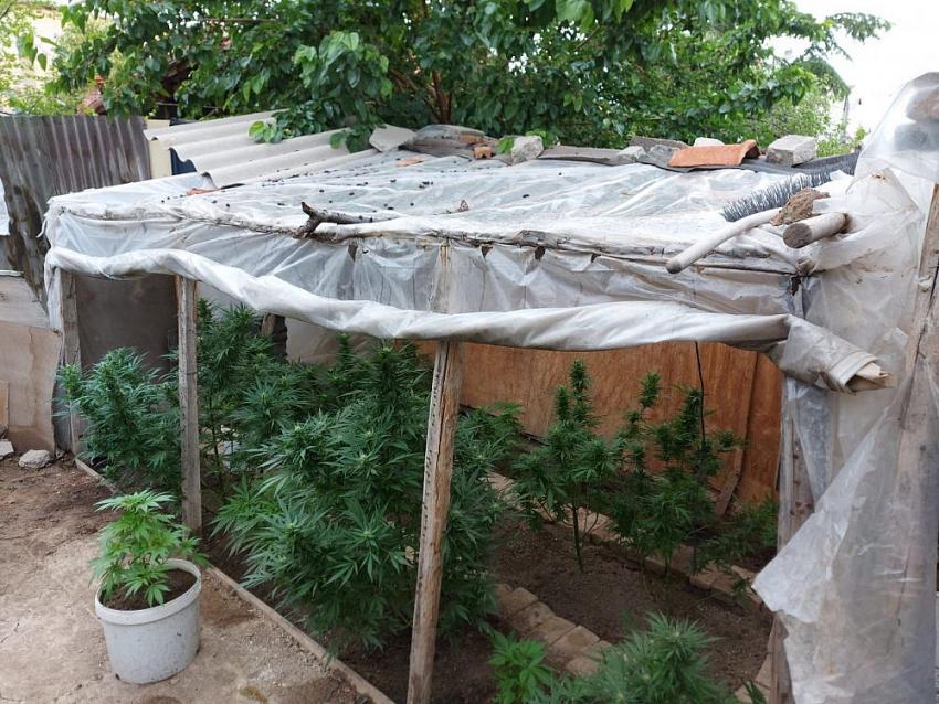 Konya Meram'da eve uyuşturucu operasyonu!