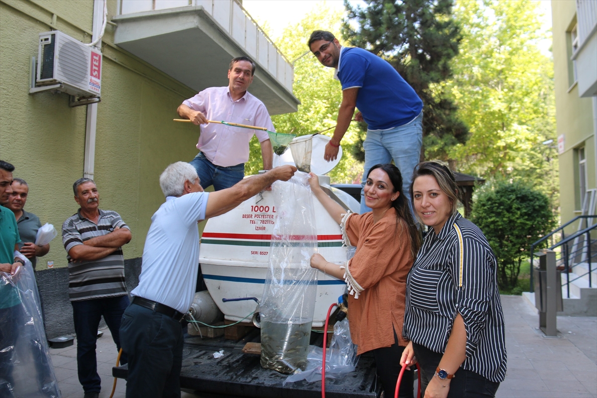 Konya'nın bazı ilçelerindeki göl ve göletler balıklandırıldı