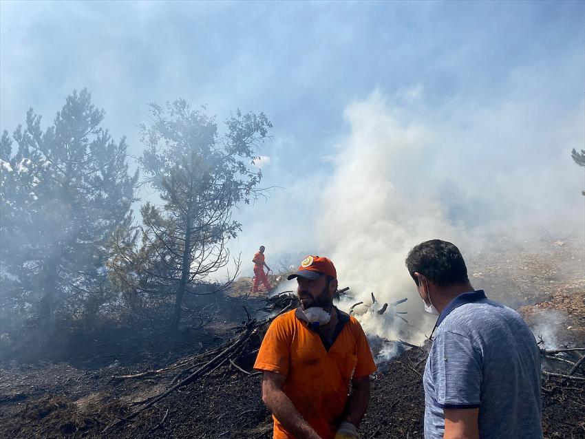 Konya'nın Doğanhisar ilçesinde çıkan orman yangını kontrol altına alındı.