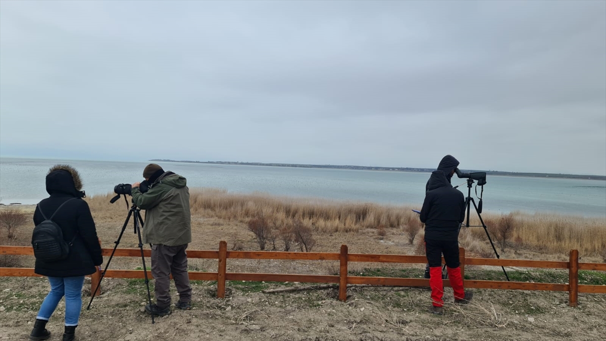 Konya'nın göllerinde kış ortası su kuşu sayımı yapıldı