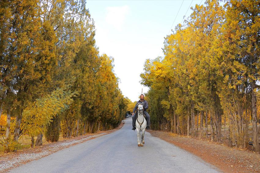 Konya'nın Meram ilçesindeki parklar, sonbaharın hazan renklerine büründü.