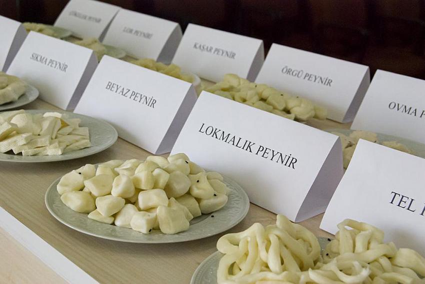 Konya'nın meşhur Atlantı peyniri dünya pazarına açılıyor!