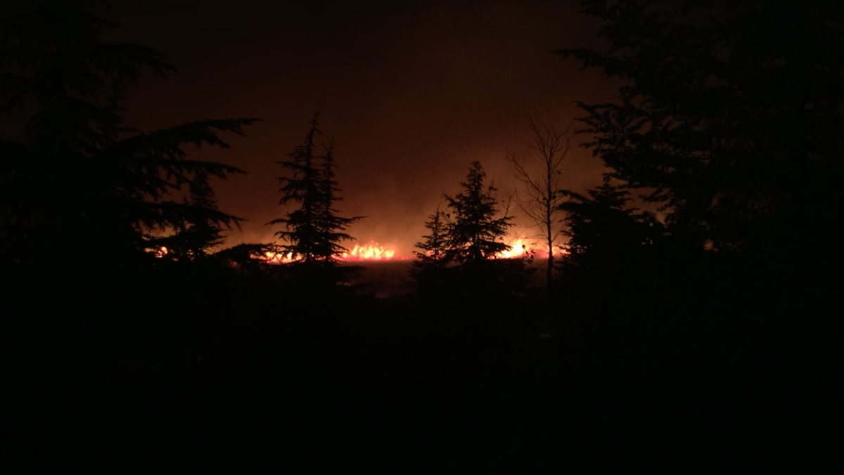 Konya'nın "kuş cenneti" Gökgöl'deki sazlıklar yandı