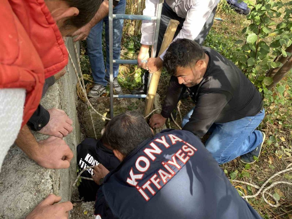 Konya'nın Seydişehir  İlçesinde  İtfaiye koyunlar için seferber oldu