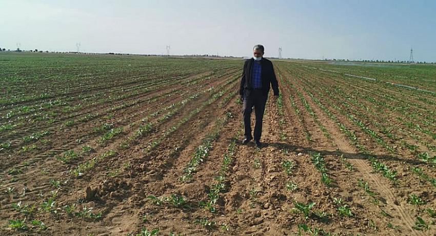 Konya Pancar Ekicileri Kooperatifi seçimleriyle ilgili son dakika gelişmesin