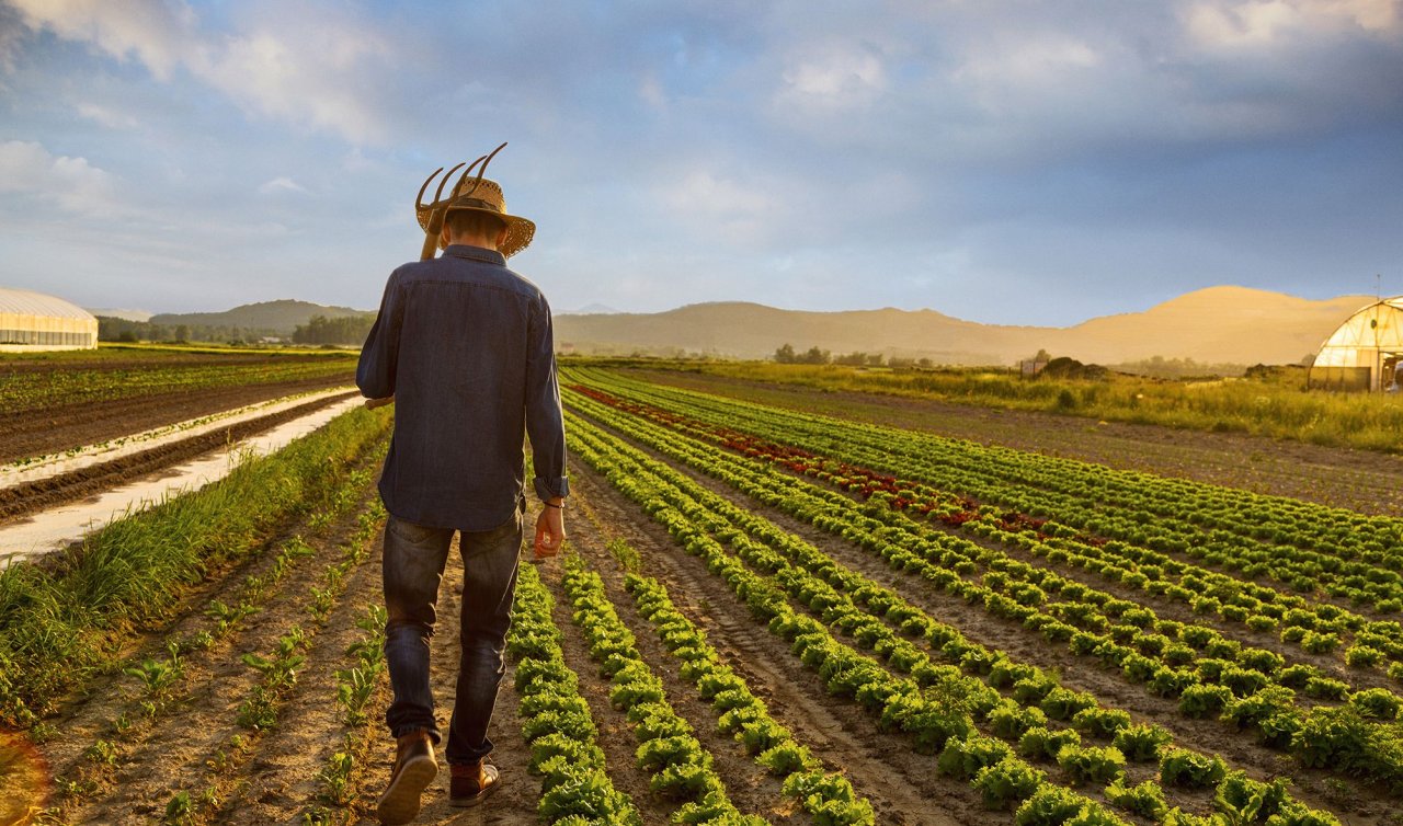 Konya Şeker'den çiftçiye 293 milyon liralık avans
