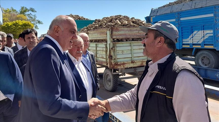 Konya Şeker Pancar Bedellerini Yarın Ödemeye Başlıyor