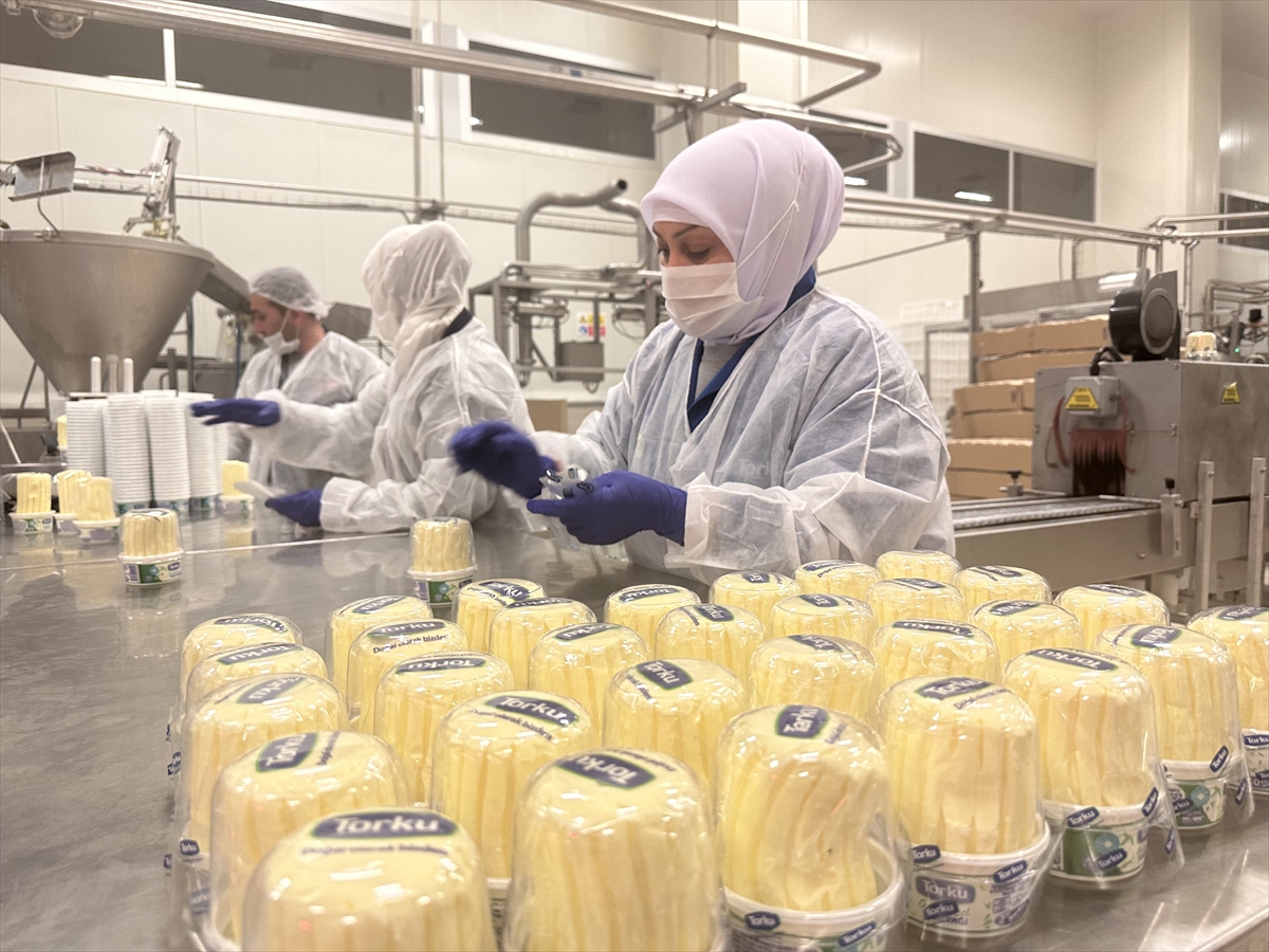 Konya Şekerin  tesislerinde üretilen süt ve süt ürünleri 15 ülkeye ihraç ediliyor