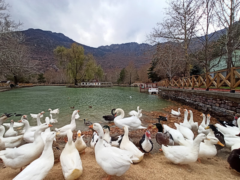 Konya Sıcaklık 25 dereceye çıkıyor! Tarihi seviye görülecek