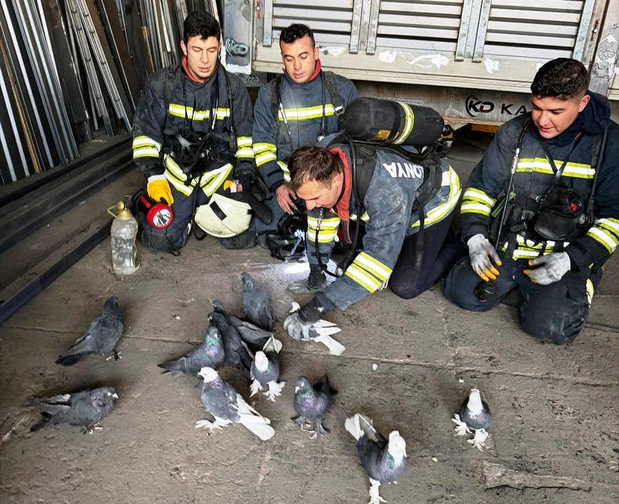KONYA - Yangından güvercinlerini kurtaran itfaiye erlerine minnettar