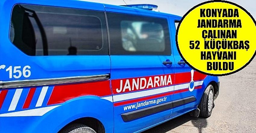 KONYADA  JANDARMA  ÇALINAN 52  HAYVANI  BULDU