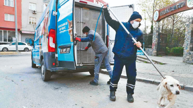 Köpek saldırırsa tüm amirler ceza alır