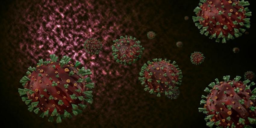 Koronavirüs Bilim Kurulu Üyesi konuştu: Ağustosta vakaların yüzde 80'i delta varyantı olacak