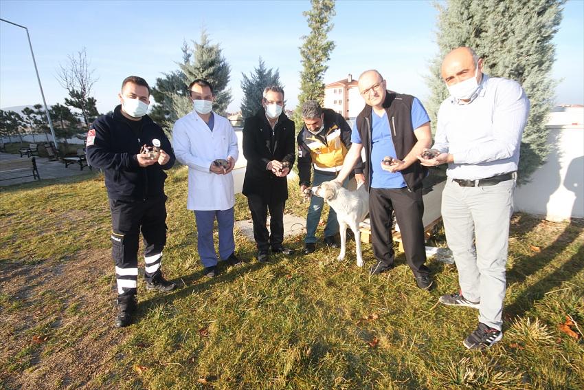  Koronavirüs savaşçısı sağlıkçılar 11 köpek yavrusu ve annesine sahip çıktı