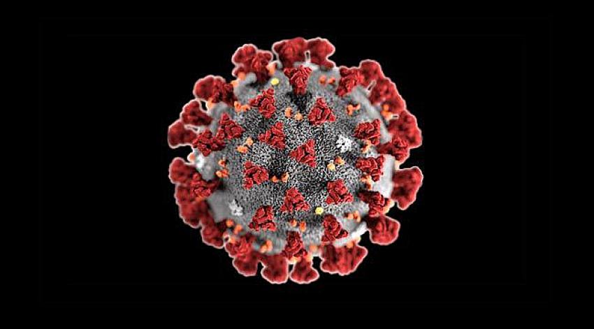 Koronavirüste mutasyon korkusu... Türkiye'de rastlandı mı?