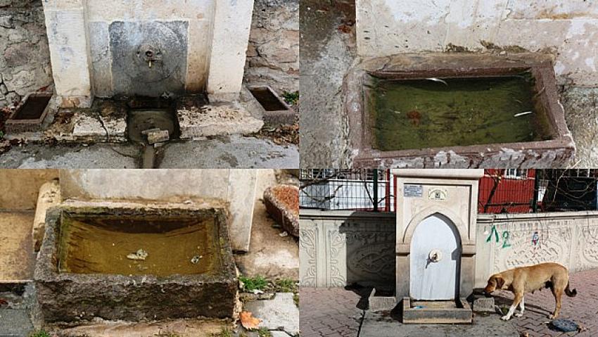 KOSKİ KUŞ TASI İLE SOKAK HAVYANLARININ SU İHTİYACINI GİDERİYORKOSKİ KUŞ TASI İLE SOKAK HAVYANLARININ SU İHTİYACINI GİDERİYOR