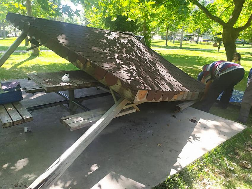 Kuğulu Parkında Ailenin üzerine Kamelya yıkıldı.