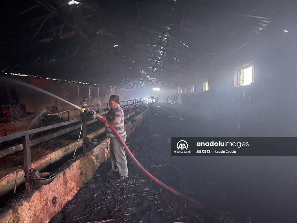 Kulu'da besihanede çıkan yangın hasara neden oldu