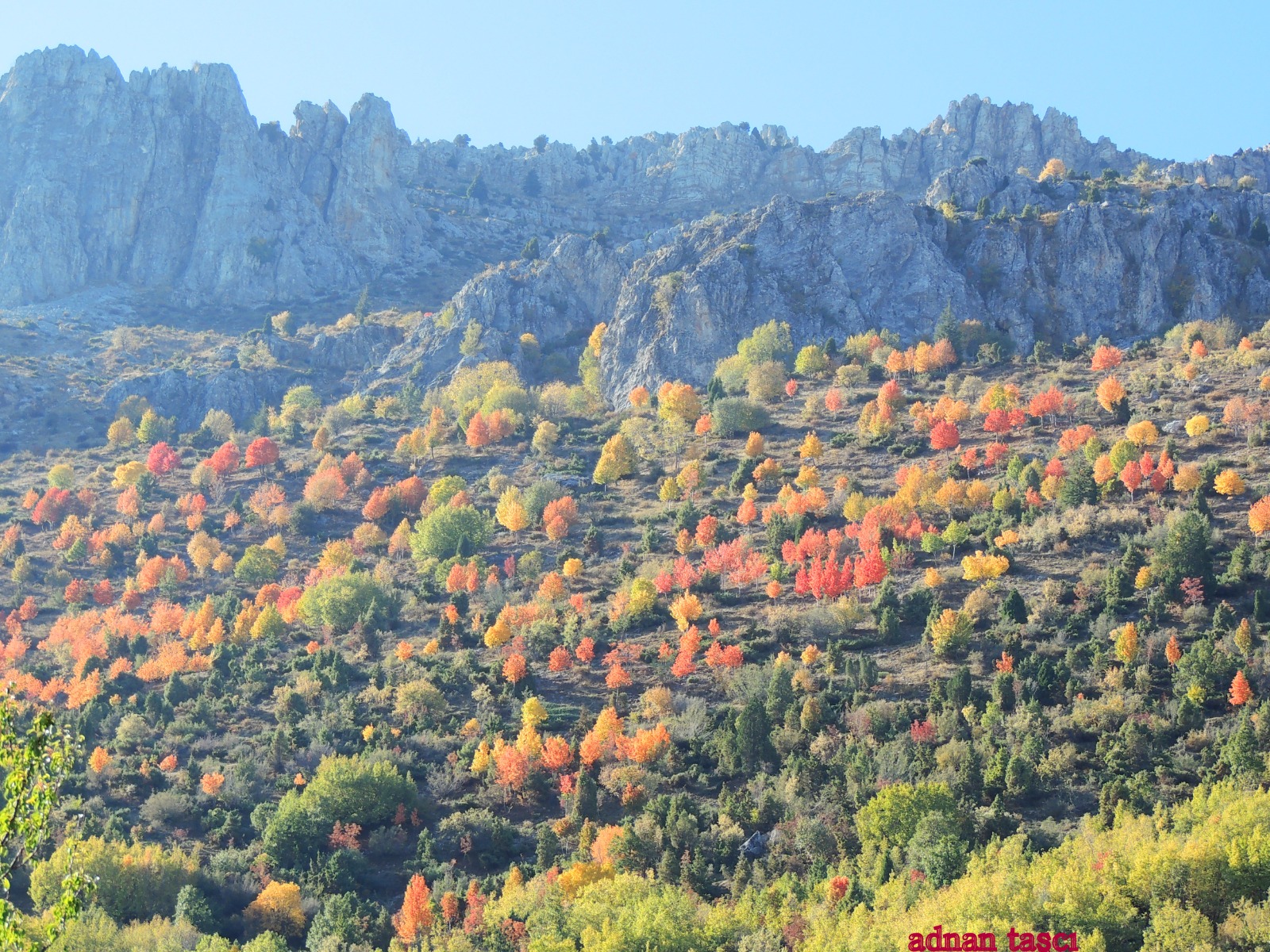 KÜPE DAĞINDA SONBAHAR GÜZELLİĞİ FOTOHABER