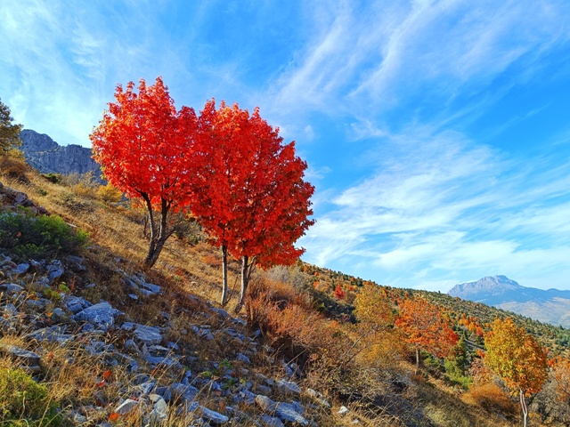 KÜPE DAĞINDA SONBAHAR GÜZELLİĞİ FOTOHABER